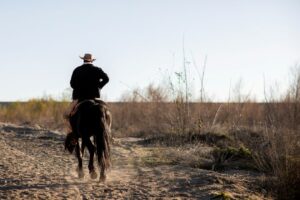 A cowboy riding into the desert, his back turned to the viewer.