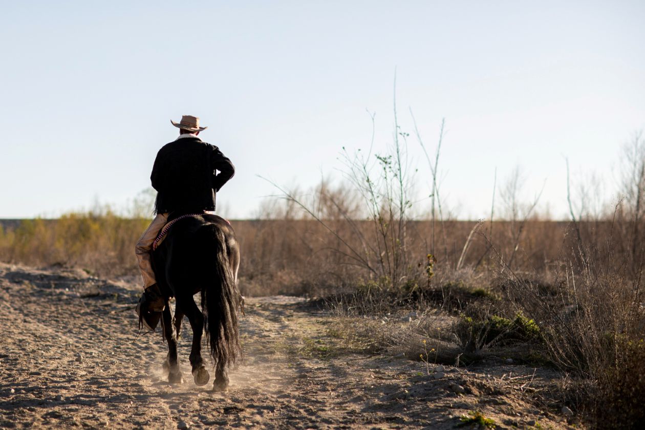A cowboy riding into the desert, his back turned to the viewer.